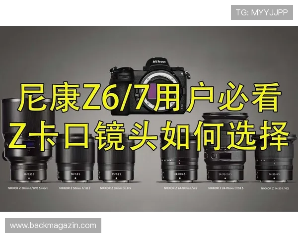安卓用户必看：尊龙app官方网站下载安装的详细步骤与注意事项