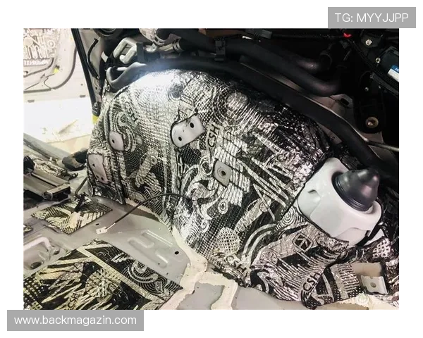 选择43u尊龙网页版官网，开启安全稳定的游戏之旅，体验极致的娱乐享受