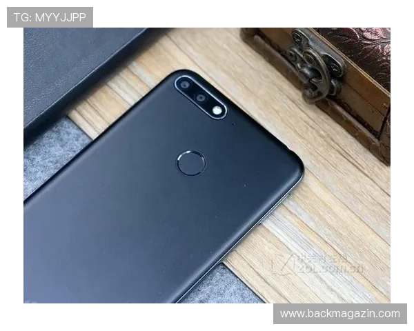 全面解析488体育官网的注册流程与账号安全保障，帮助用户轻松畅享体育娱乐体验